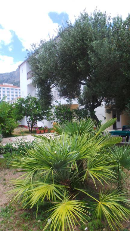 Pension Vice Gradac  Eksteriør bilde